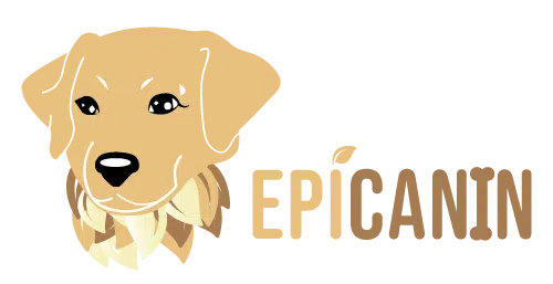 Logotype de Epicanin