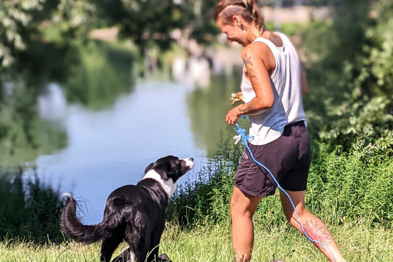 Éducateur canin jouant avec un chien dans le parc du Pilat