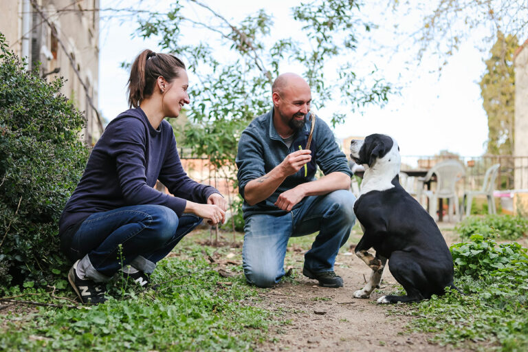 Séance d'éducation canine en extérieur, éducation positive avec un chien.